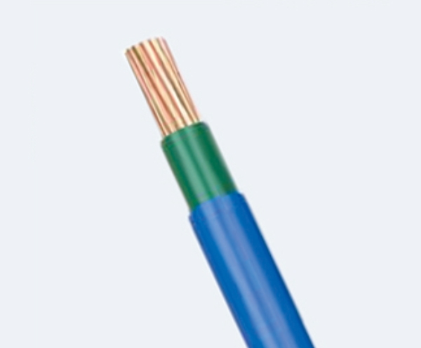 贵州ZC-BYJS 1X50